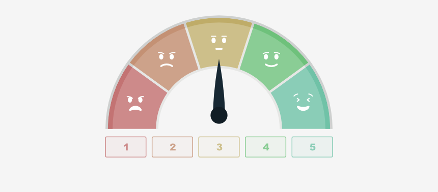 A Guide to Rating Scales in Surveys