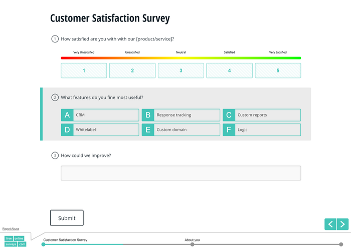 Customer Feedback Surveys